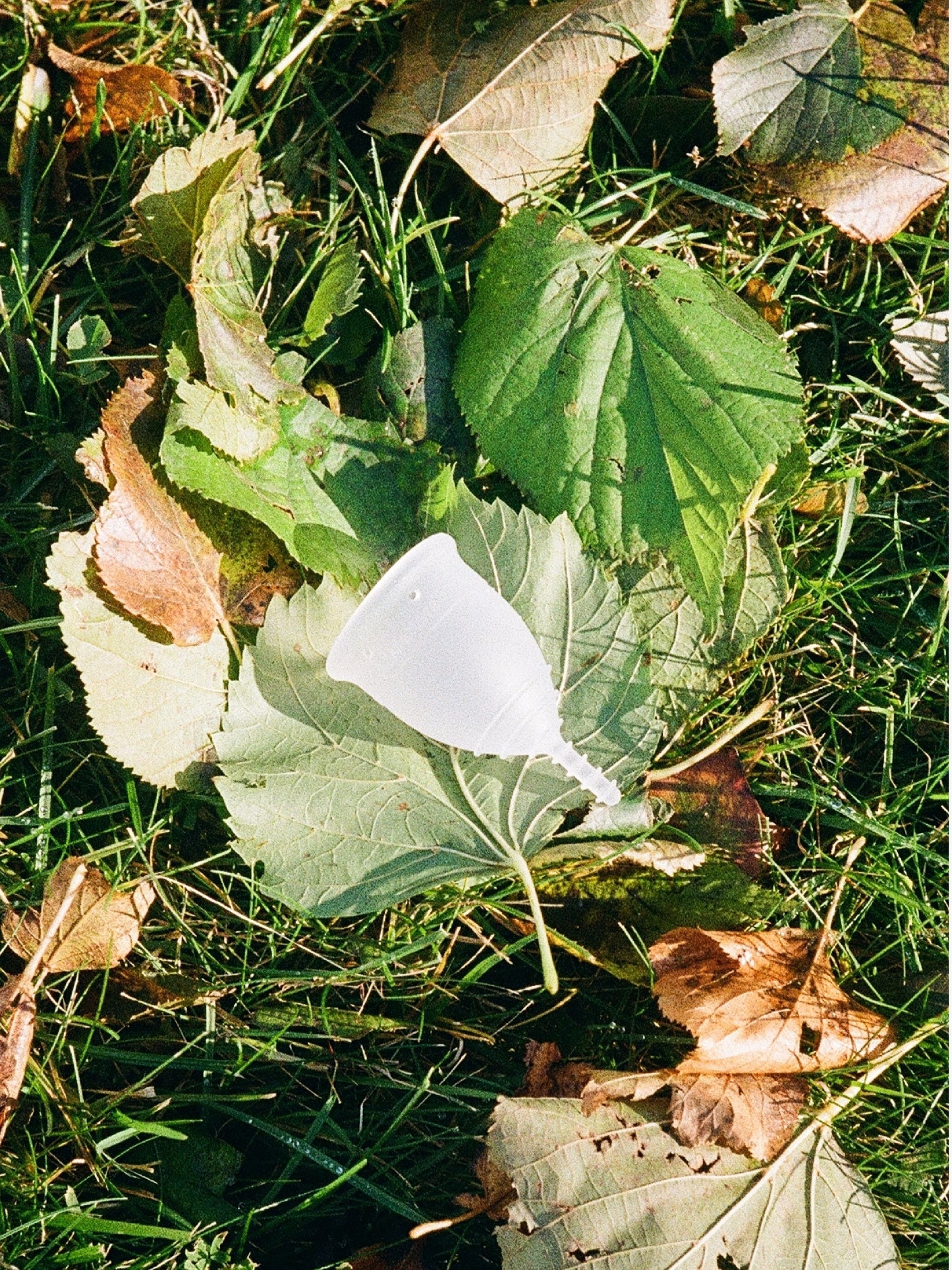 OrganiCup Menstrual Cup