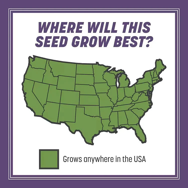 Roseliss WeekendGreen™ Slow-Growing Lawn Seed (offer)