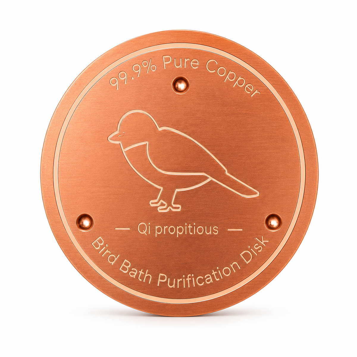 Purifies Bird Bath Water