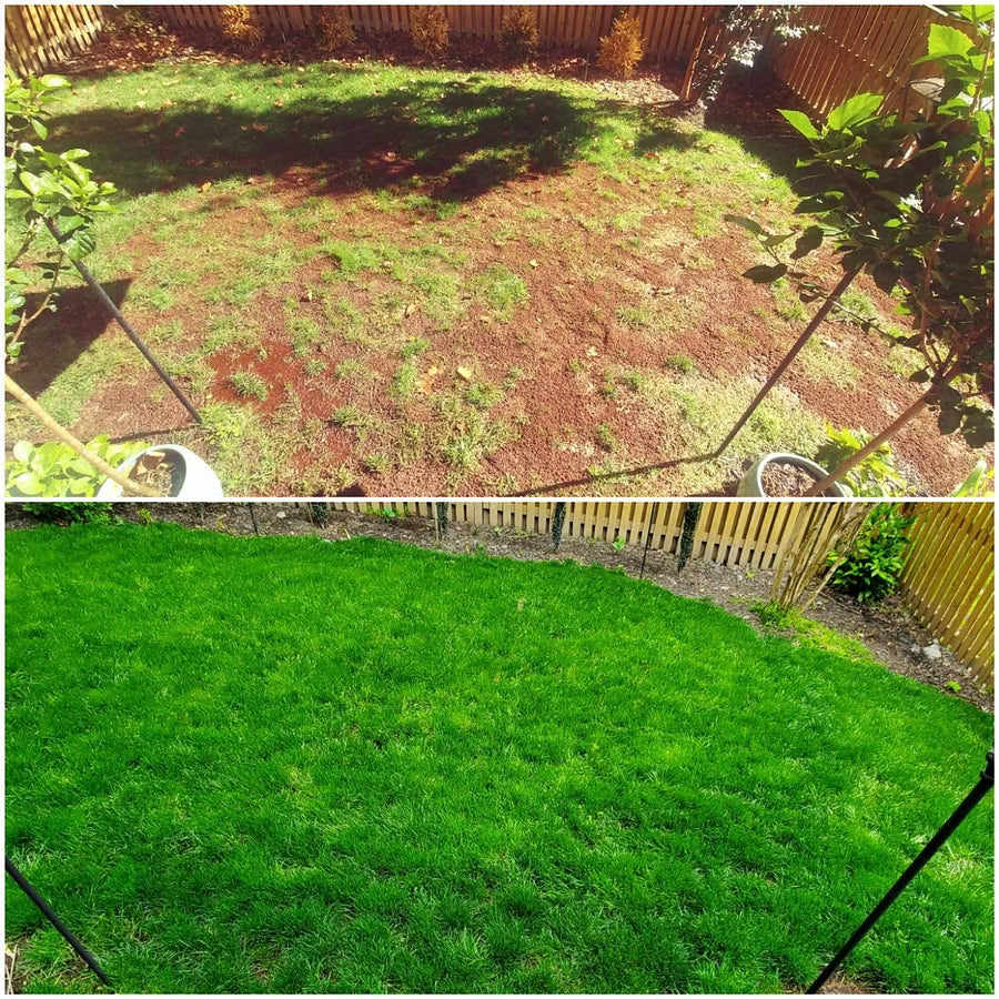 Roseliss WeekendGreen™ Slow-Growing Lawn Seed (offer)