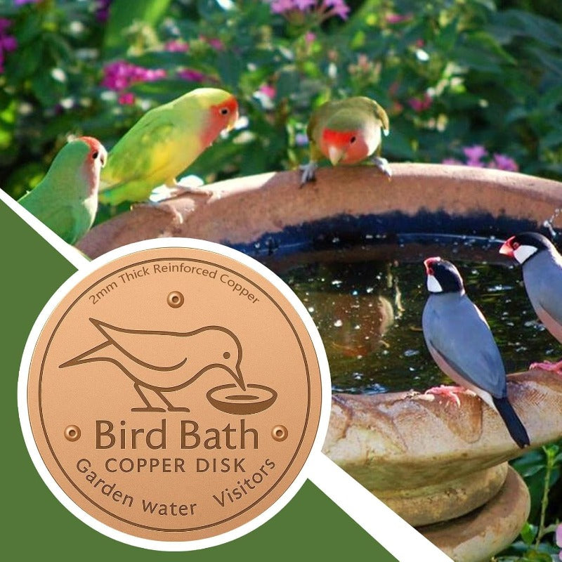 Purifies Bird Bath Water