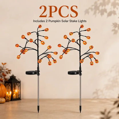 🎃Solar Pumpkin Stake Lights (offer)