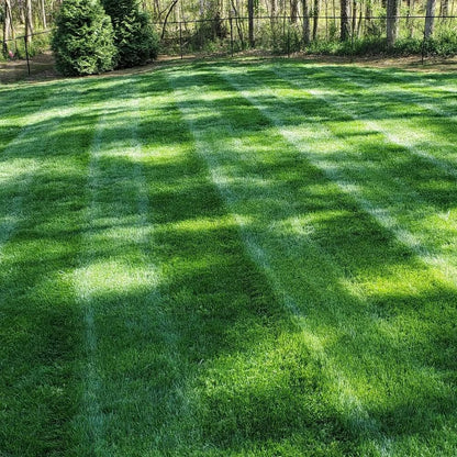 Roseliss WeekendGreen™ Slow-Growing Lawn Seed (offer)