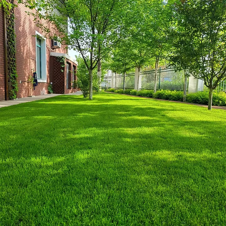 Roseliss WeekendGreen™ Slow-Growing Lawn Seed (offer)